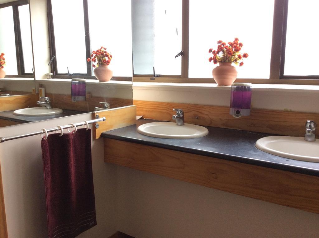 Wild Zebra Backpackers Hostel Wellington Exterior photo
