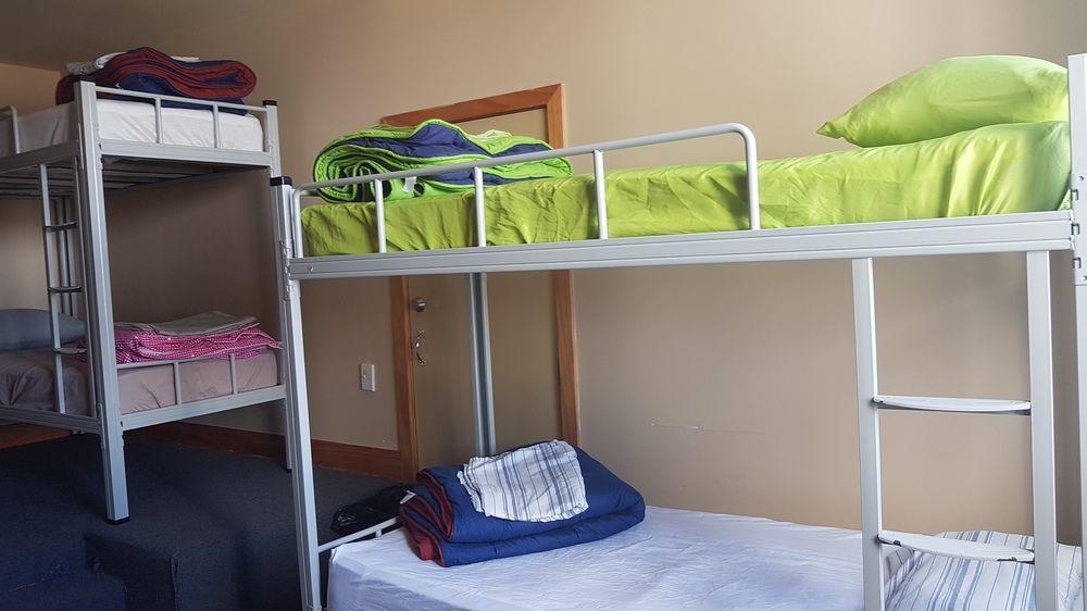 Wild Zebra Backpackers Hostel Wellington Exterior photo