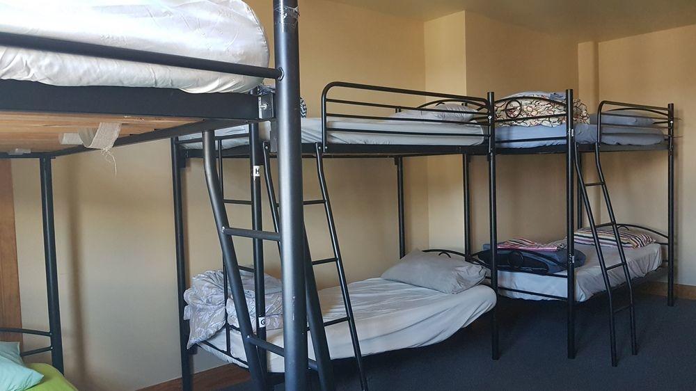 Wild Zebra Backpackers Hostel Wellington Exterior photo